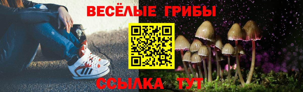 закладка  Галлюциногенные грибы прущие грибы  Вход с VPN  Нурлат 